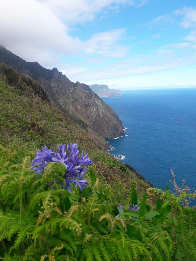 Funchal Bay View Holiday Rental מראה חיצוני תמונה
